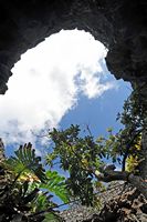 The village of Tahíche in Lanzarote. Fig tree in the basement of the house of César Manrique. Click to enlarge the image in Adobe Stock (new tab).