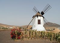 A aldeia de Tiscamanita em Fuerteventura. Moinho. Clicar para ampliar a imagem em Adobe Stock (novo guia).