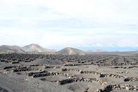 A aldeia de Uga em Lanzarote. A vinha em Uga. Clicar para ampliar a imagem em Adobe Stock (novo guia).