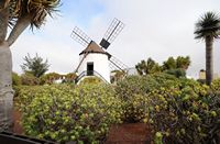 De stad Antigua in Fuerteventura. De cactustuin.De molen van de tuin. Klikken om het beeld te vergroten in Adobe Stock (nieuwe tab).
