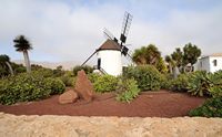 The mill of Antigua in Fuerteventura. Click to enlarge the image in Adobe Stock (new tab).