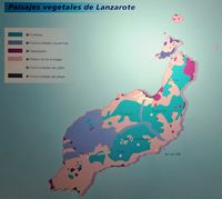 La flore et la faune de l'île de Lanzarote. Répartition de la végétation. Cliquer pour agrandir l'image.
