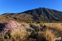 Het Nationaal Park van de Teide in Tenerife. Teide (Canarische bureau voor toerisme auteur). Klikken om het beeld te vergroten.