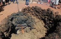 Timanfaya National Park in Lanzarote. Spontaneous Combustion bushes. Click to enlarge the image.