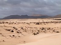 The natural park of the Dunes of Corralejo in Fuerteventura. Dunes (author Theresa Gaige). Click to enlarge the image.