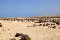O parque natural de Jandía em Fuerteventura. O istmo de La Pared (autor Frank Vincentz). Clicar para ampliar a imagem.