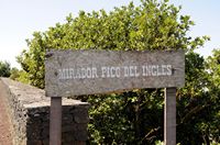 Het landelijk park van Anaga in Tenerife. Mirador Pico del Inglés. Klikken om het beeld te vergroten.