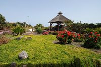 El pueblo de Caleta de Fuste en Fuerteventura. el jardín del hotel Elba Carlota en Caleta de Fuste. Haga clic para ampliar la imagen.