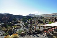 A coleção de cactus do Jardim de Cactus em Guatiza em Lanzarote. O jardim de cactus na antiga cratera. Clicar para ampliar a imagem.