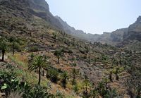 El pueblo de Masca en Tenerife. Haga clic para ampliar la imagen.