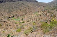 Het dorp Masca in Tenerife. Culturen. Klikken om het beeld te vergroten.