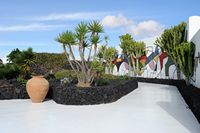 Le village de Tahíche à Lanzarote. Jardin de la maison de César Manrique. Cliquer pour agrandir l'image.