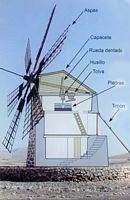 Het dorp Tefia in Fuerteventura. Mechanisme van een mannelijke molen (molino). Klikken om het beeld te vergroten.