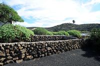 El pueblo de Tiagua en Lanzarote. Tapia de piedras. Haga clic para ampliar la imagen.