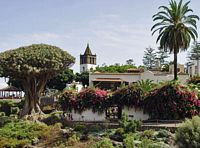 De stad Icod de los Vinos in Tenerife. Klikken om het beeld te vergroten.