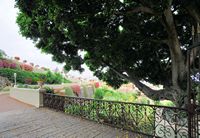 The town of La Orotava in Tenerife. Entrance, Victoria Gardens. Click to enlarge the image.