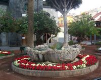 The town of Puerto de la Cruz in Tenerife. Fontaine place of the Church. Click to enlarge the image.