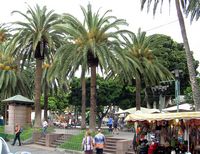 The town of Puerto de la Cruz in Tenerife. Plaza del Charco. Click to enlarge the image.