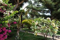 A cidade de Los Realejos em Tenerife. Jardim, El Monasterio. Clicar para ampliar a imagem.