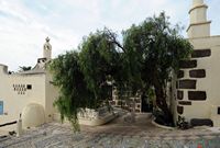 Das ethnographische Museum Tanit in San Bartolomé auf Lanzarote. Falscher Pfefferbaum (Schinus molle). Klicken, um das Bild zu vergrößern