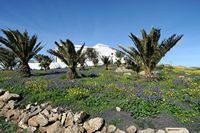 A cidade de Teguise em Lanzarote. Ermita de las Nieves em Los Valles. Clicar para ampliar a imagem.