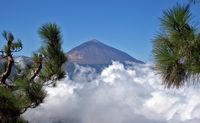 De stad La Victoria de Acentejo in Tenerife. Uitzicht op de Teide. Klikken om het beeld te vergroten.