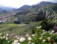 La ciudad de La Victoria de Acentejo en Tenerife. Las Mercedes. Haga clic para ampliar la imagen.