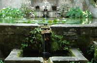 Le village de Trsteno en Croatie. Fontaine de Neptune et des Nymphes. Cliquer pour agrandir l'image dans Adobe Stock (nouvel onglet).