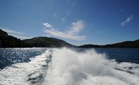 Catamaran per l'isola di Mljet. Clicca per ingrandire l'immagine.