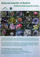 Le jardin botanique du Biokovo en Croatie. Planche des espèces endémiques du Biokovo. Cliquer pour agrandir l'image.