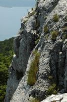 Le mont Vidova Gora, île de Brač en Croatie. La falaise à Vidova Gora. Cliquer pour agrandir l'image.