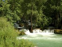 La rivière Krka en Croatie. La cascade de Miljačka sur la Krka (auteur N. P. Krka). Cliquer pour agrandir l'image.