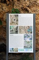 Panel of information on the travertine of Krka. Click to enlarge the image.
