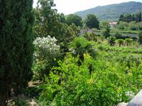 La ville de Stari Grad, île de Hvar en Croatie. Jardin du palais Tvrdalj (auteur Samuli Lintula). Cliquer pour agrandir l'image.