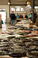 Der Markt an den Fischen von Split (Autor sjwilliams82). Klicken, um das Bild in Flickr zu vergrößern (neue Nagelritze).