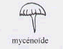 L'identification des champignons. Champignons à silhouette mycénoïde.