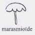 L'identification des champignons. Champignons à silhouette marasmioïde.