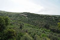 Le site archéologique d'Eleutherne en Crète. Le vallon de Chalopota et le musée vu depuis l'acropole. Cliquer pour agrandir l'image dans Adobe Stock (nouvel onglet).