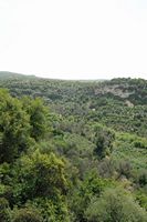 Le site archéologique d'Eleutherne en Crète. Le vallon de Chalopota vu depuis l'acropole. Cliquer pour agrandir l'image dans Adobe Stock (nouvel onglet).