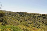 Le site archéologique d'Eleutherne en Crète. Le vallon d'Agia Kiriaki vu depuis l'acropole. Cliquer pour agrandir l'image dans Adobe Stock (nouvel onglet).