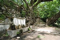 Le village d’Épiskopi en Crète. Fontaine et platane historique de Lappa à Argyroupoli. Cliquer pour agrandir l'image dans Adobe Stock (nouvel onglet).