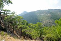 Le village de Koutsouras en Crète. Le massif de Thrypti. Cliquer pour agrandir l'image dans Adobe Stock (nouvel onglet).