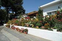 Le village de Koutsouras en Crète. Maison fleurie à Orino. Cliquer pour agrandir l'image dans Adobe Stock (nouvel onglet).
