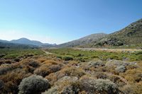 Le village de Marathos en Crète. Le plateau du Stroumpoulas. Cliquer pour agrandir l'image dans Adobe Stock (nouvel onglet).