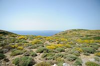 Le village de Palékastro en Crète. La crique d'Érimoupolis près d'Itanos à Palaikastro. Cliquer pour agrandir l'image dans Adobe Stock (nouvel onglet).