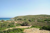 Le village de Palékastro en Crète. La plage d'Itanos à Palaikastro. Cliquer pour agrandir l'image dans Adobe Stock (nouvel onglet).