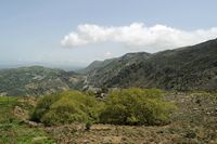 Le village de Patsianos en Crète. La vallée de la rivière Mousselas vue depuis Kallikratis. Cliquer pour agrandir l'image dans Adobe Stock (nouvel onglet).