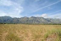 Le village de Patsianos en Crète. La plaine côtière. Cliquer pour agrandir l'image dans Adobe Stock (nouvel onglet).