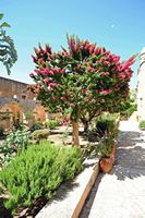 Le monastère d'Agia Triada en Crète. Les jardins. Cliquer pour agrandir l'image dans Adobe Stock (nouvel onglet).