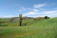 Le village de Plakias en Crète. Pâturages dans la région d'Angouseliana. Cliquer pour agrandir l'image dans Adobe Stock (nouvel onglet).